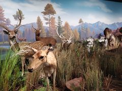 -陕西自然博物馆