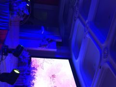 -苏州吴中白金汉爵大酒店