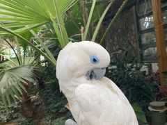 -南宫五洲植物乐园