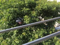 -龙洲花园-社区服务活动中心