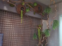 -佰烧海鲜烤肉火锅自助(熙地港店)