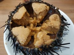 -海胆小馆(东北水饺·春柳店)