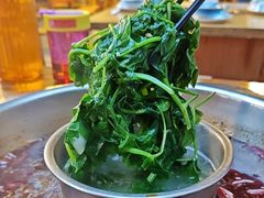 豌豆尖-金鼎雪山牦牛杂火锅(理县总店)
