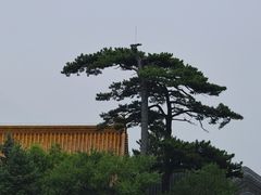-妙峰山风景名胜区