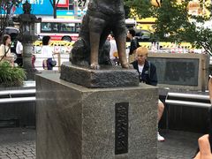-涩谷全向十字路口