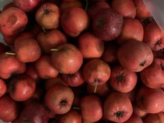 -津门红姐熟梨糕茶汤糕干(爱国道店)