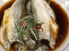 -老人和饭店(打浦路店)