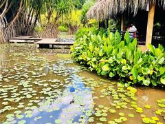-中国科学院西双版纳热带植物园