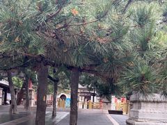 -潭柘寺景区