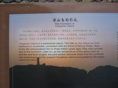 -洋山深水港