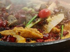 -老板恋上鱼(振华商厦店)
