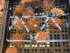 -海鲜e族(马王堆店)