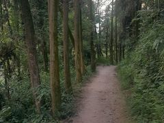 -云碧峰国家森林公园