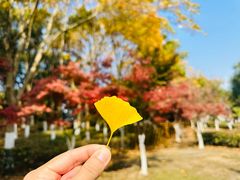 -观潮胜地公园