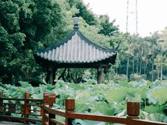 -光明港公园