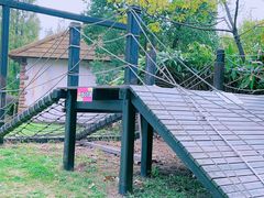 -东平国家森林公园
