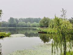 -东郊湿地公园