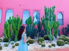 -漳州滨海火山岛自然生态风景区