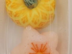 -知楚•精致湖北菜(武商MALL店)