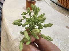 -红旗山庄(圭峰山店)