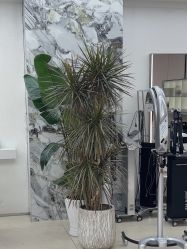 -M² LAB SALON