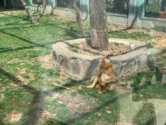 -西安秦岭野生动物园