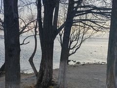 -大理洱海