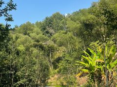 -仙岛湖旅游风景区