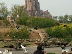 -兰陵国家农业公园