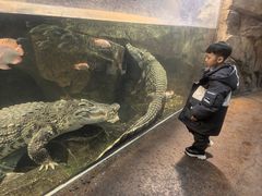 -哈尔滨波塞冬海底世界
