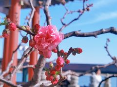 -颐和园