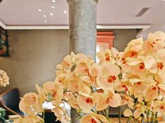 -八府香鸭·啫啫煲(华山路店)