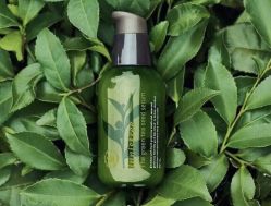 -悦诗风吟innisfree