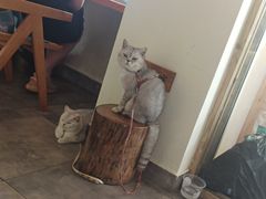 -冰拾叁(新都店)