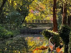 -上海共青森林公园