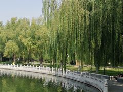 -莲花池公园