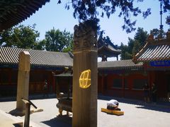 -药王庙(安国市)