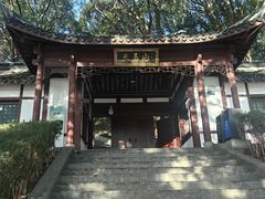 -上海佘山国家森林公园天马山园