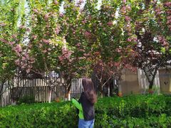 -西安汉城湖景区