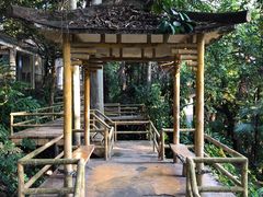 -中山纪念堂