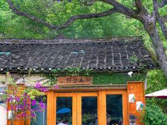 -村上春树