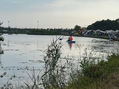 -春花秋色城市公园