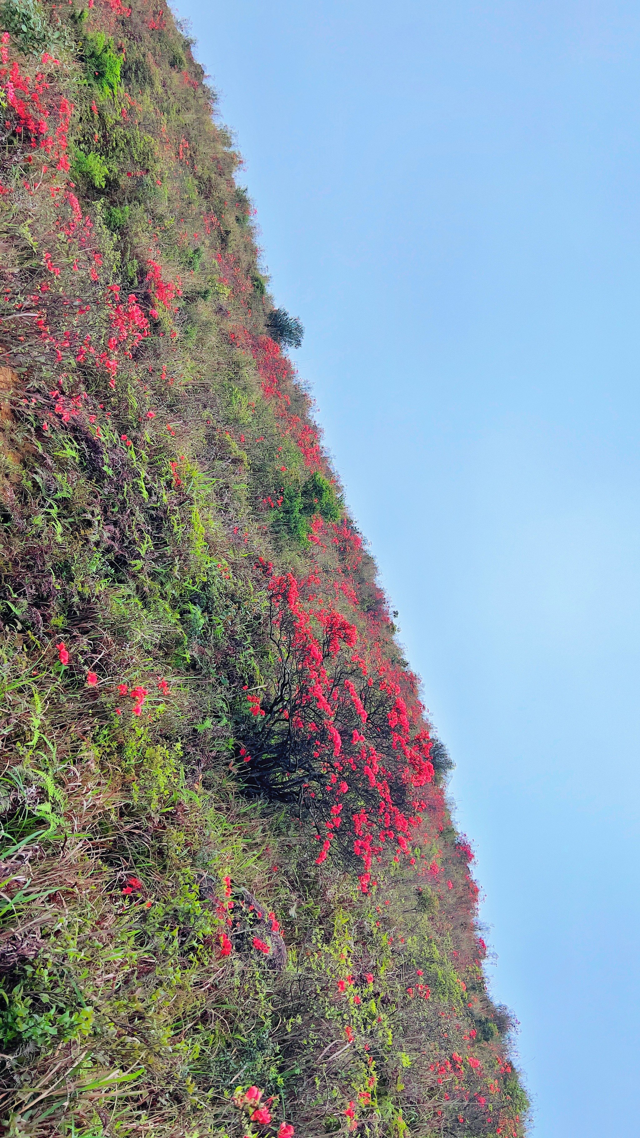 天楼山风景区图片