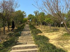 -深圳仙湖植物园