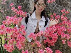 -南通洲际绿博园