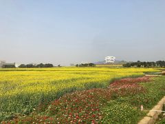 -光明小镇欢乐田园