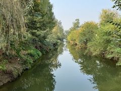 -白鹭湾湿地公园