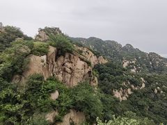 -大岭沟猕猴桃谷风景区