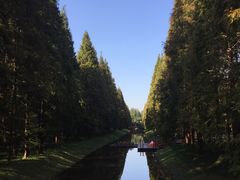 -黄海国家森林公园