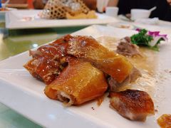 明炉烧鹅-顺德佬(石厦店)